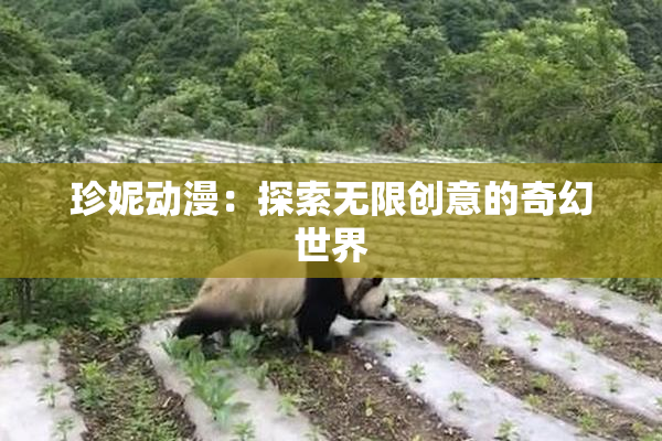 珍妮动漫：探索无限创意的奇幻世界