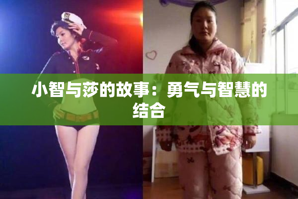 小智与莎的故事：勇气与智慧的结合