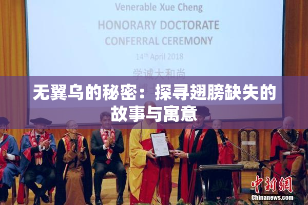 无翼乌的秘密：探寻翅膀缺失的故事与寓意