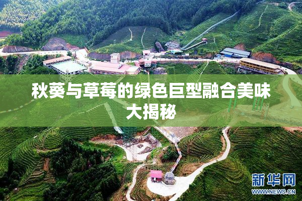 秋葵与草莓的绿色巨型融合美味大揭秘