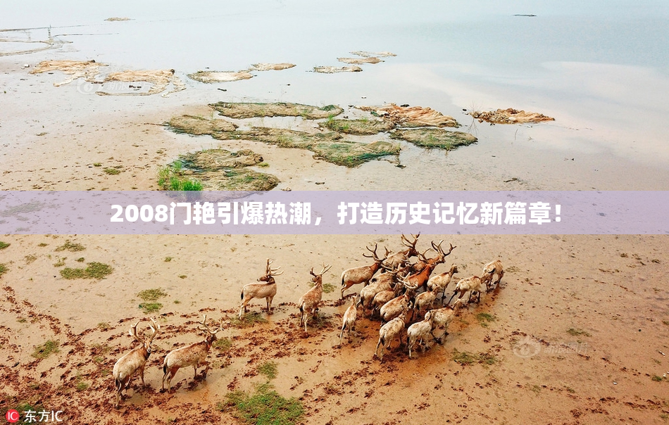 2008门艳引爆热潮，打造历史记忆新篇章！