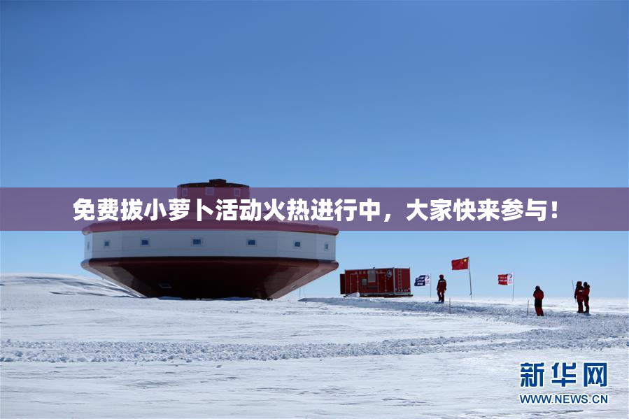 免费拔小萝卜活动火热进行中，大家快来参与！