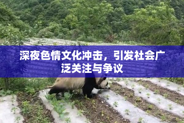 深夜色情文化冲击，引发社会广泛关注与争议