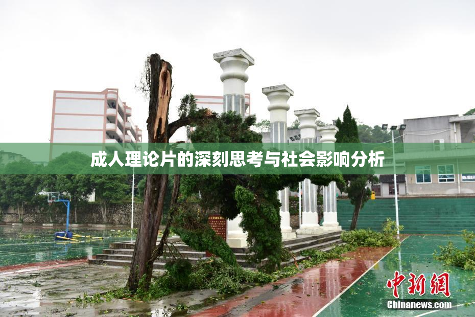 成人理论片的深刻思考与社会影响分析