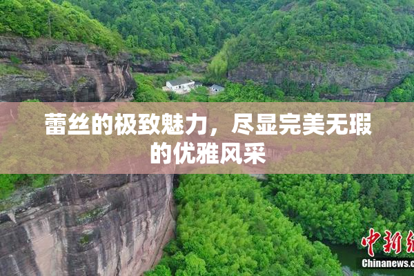 蕾丝的极致魅力，尽显完美无瑕的优雅风采