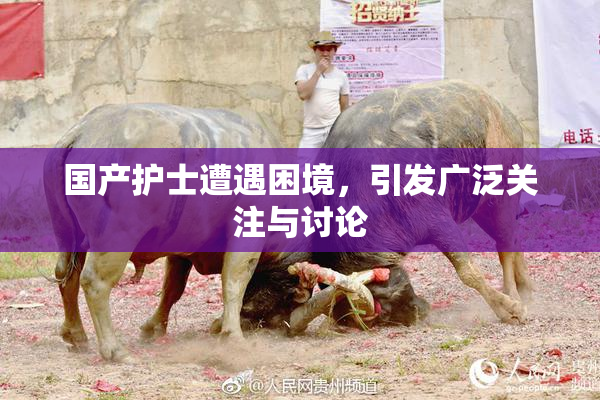 国产护士遭遇困境，引发广泛关注与讨论