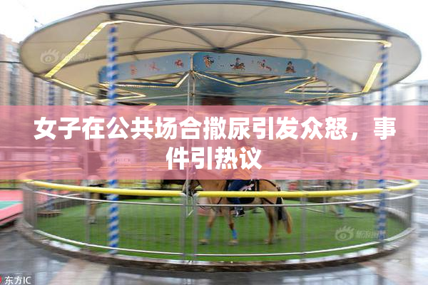 女子在公共场合撒尿引发众怒，事件引热议
