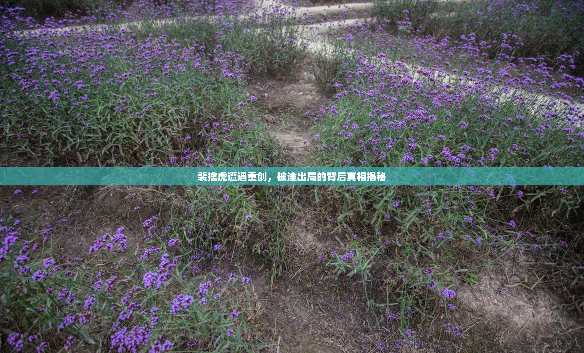 裴擒虎遭遇重创，被淦出局的背后真相揭秘