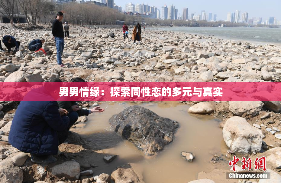 男男情缘：探索同性恋的多元与真实