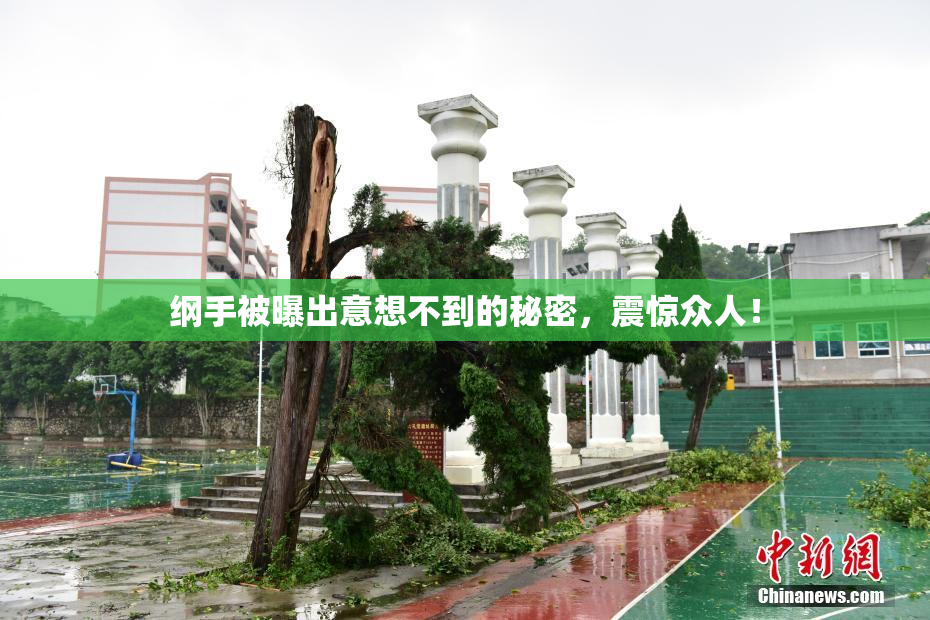 纲手被曝出意想不到的秘密，震惊众人！