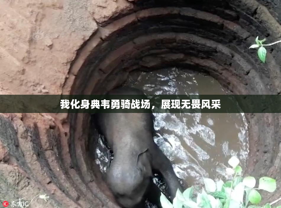 我化身典韦勇骑战场，展现无畏风采