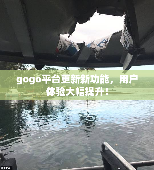 gogo平台更新新功能，用户体验大幅提升！