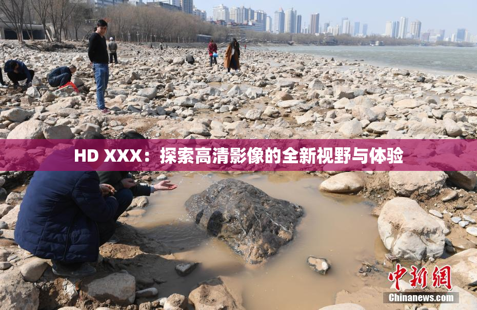HD XXX：探索高清影像的全新视野与体验