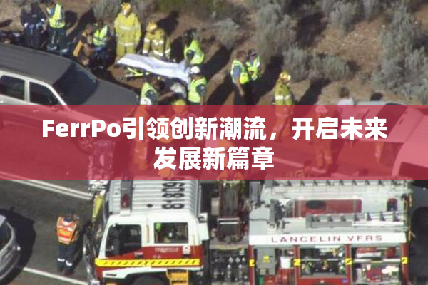 FerrPo引领创新潮流，开启未来发展新篇章