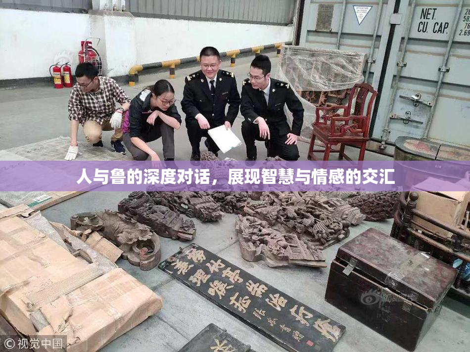 人与鲁的深度对话，展现智慧与情感的交汇