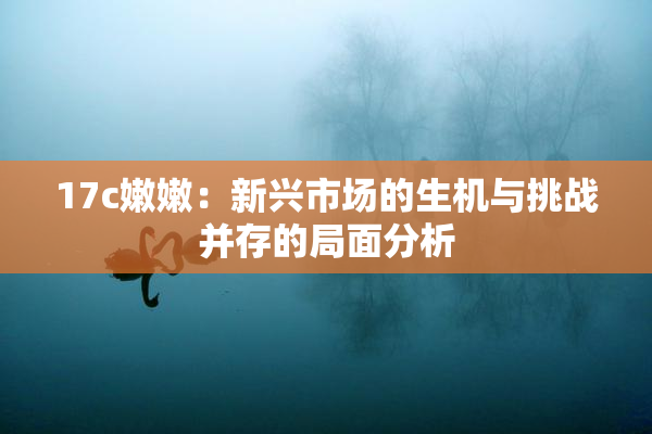 17c嫩嫩：新兴市场的生机与挑战并存的局面分析