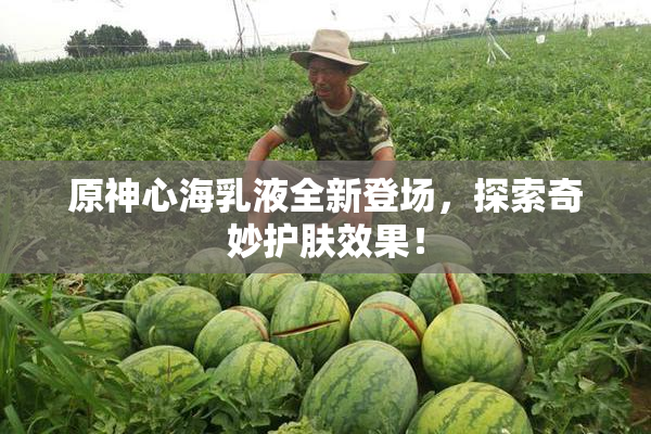 原神心海乳液全新登场，探索奇妙护肤效果！