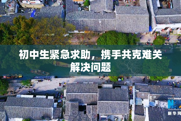 初中生紧急求助，携手共克难关解决问题