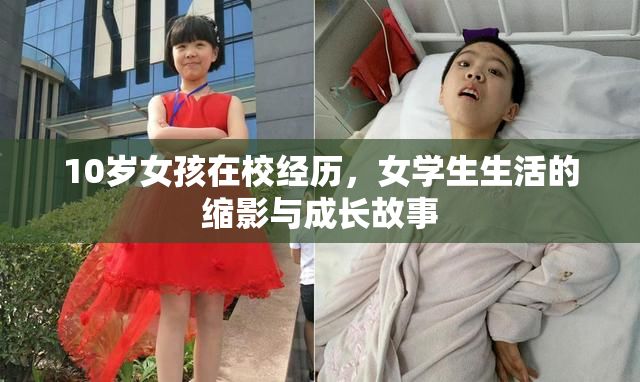 10岁女孩在校经历，女学生生活的缩影与成长故事