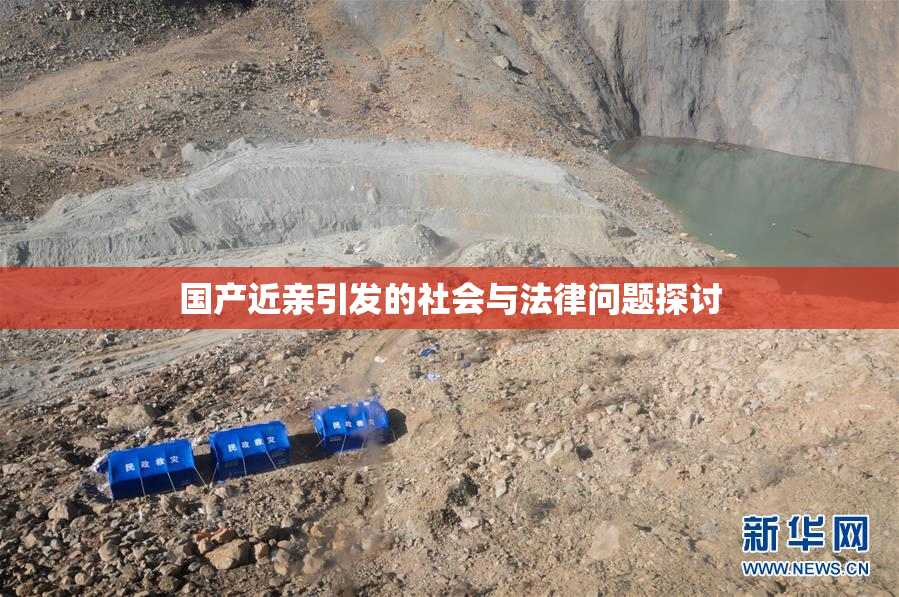国产近亲引发的社会与法律问题探讨