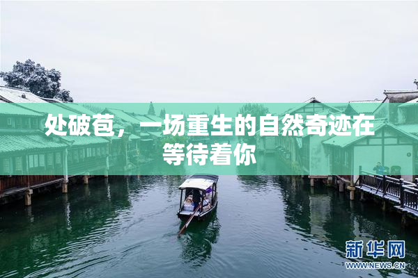 处破苞，一场重生的自然奇迹在等待着你