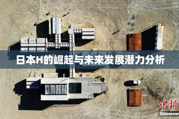 日本H的崛起与未来发展潜力分析