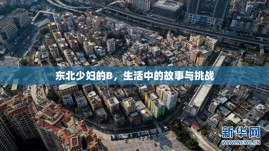 东北少妇的B，生活中的故事与挑战