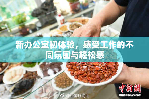 新办公室初体验，感受工作的不同氛围与轻松感