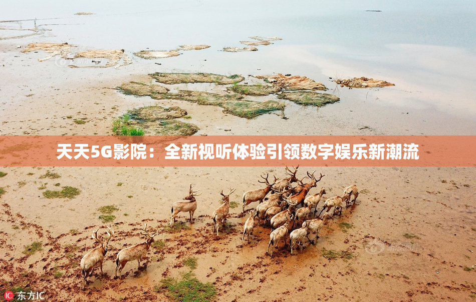 天天5G影院：全新视听体验引领数字娱乐新潮流