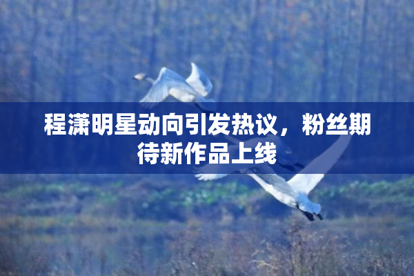 程潇明星动向引发热议，粉丝期待新作品上线