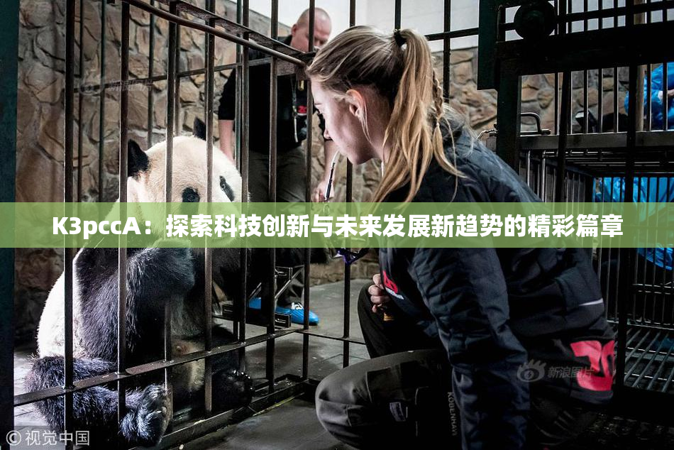 K3pccA：探索科技创新与未来发展新趋势的精彩篇章