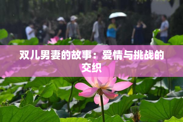 双儿男妻的故事：爱情与挑战的交织
