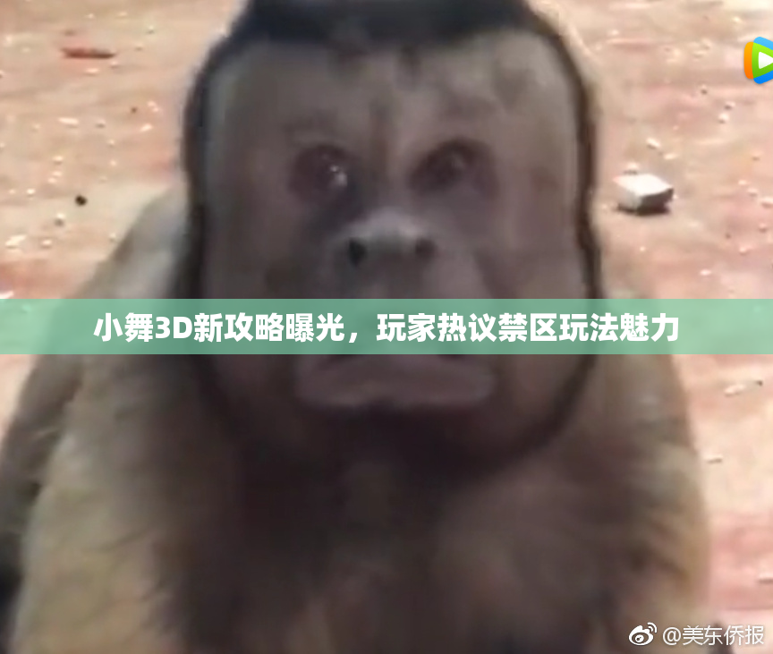 小舞3D新攻略曝光，玩家热议禁区玩法魅力