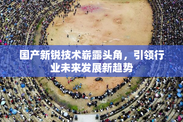 国产新锐技术崭露头角，引领行业未来发展新趋势