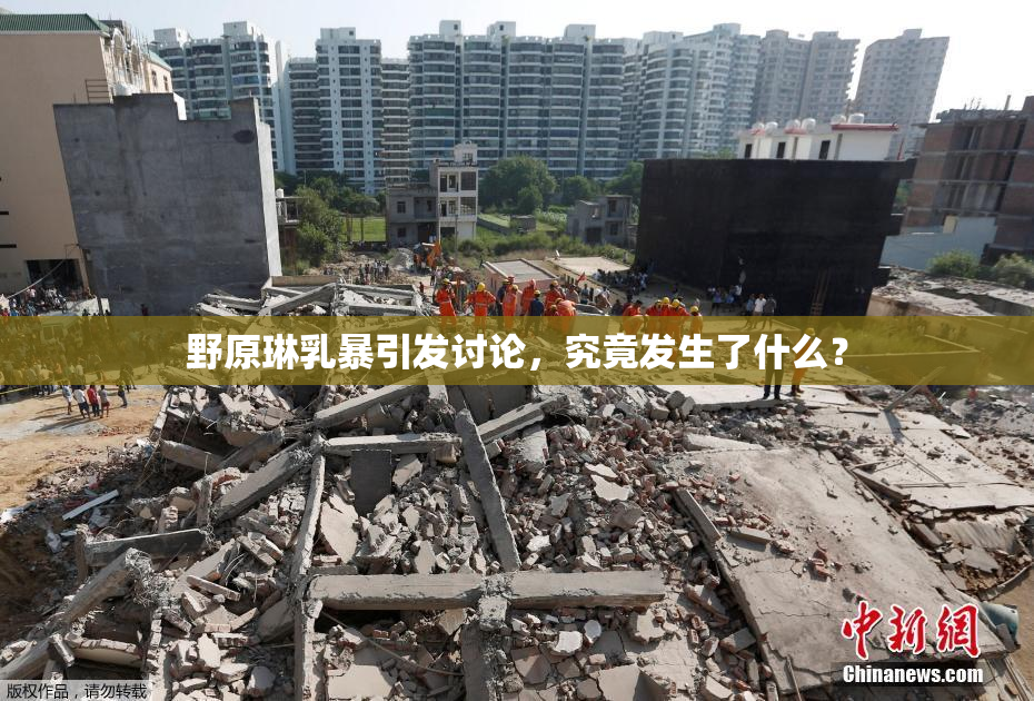 野原琳乳暴引发讨论，究竟发生了什么？