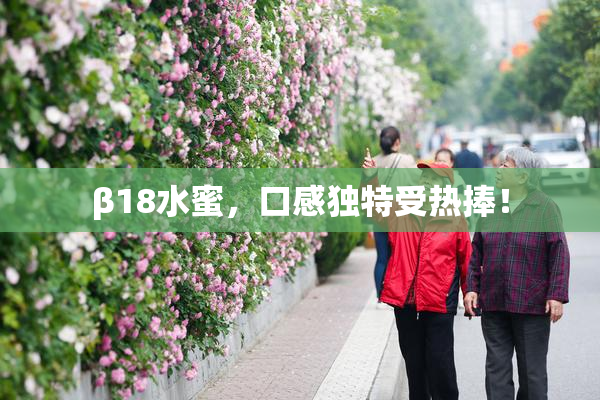 β18水蜜，口感独特受热捧！