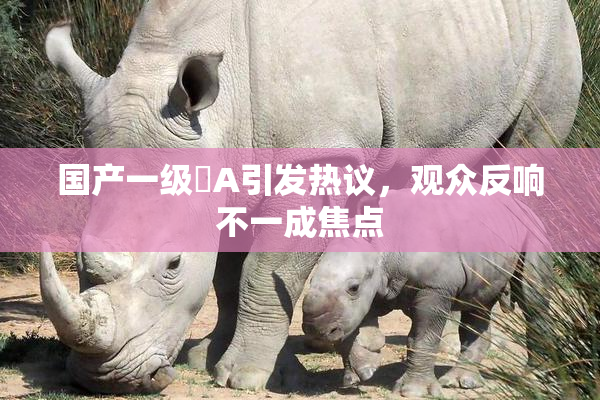国产一级婬A引发热议，观众反响不一成焦点