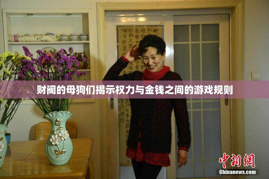 财阀的母狗们揭示权力与金钱之间的游戏规则