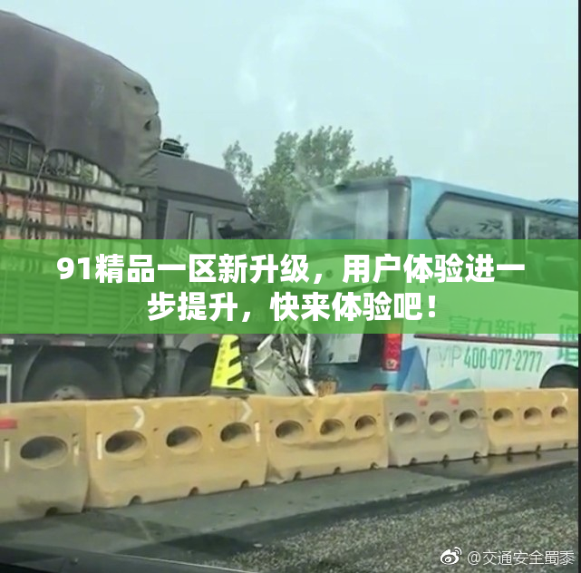 91精品一区新升级，用户体验进一步提升，快来体验吧！