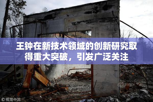 王钟在新技术领域的创新研究取得重大突破，引发广泛关注