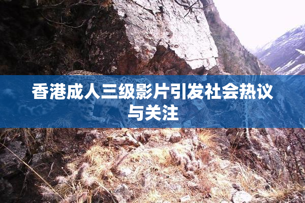 香港成人三级影片引发社会热议与关注