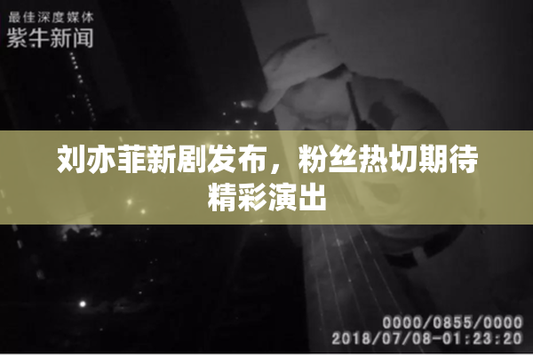 刘亦菲新剧发布，粉丝热切期待精彩演出