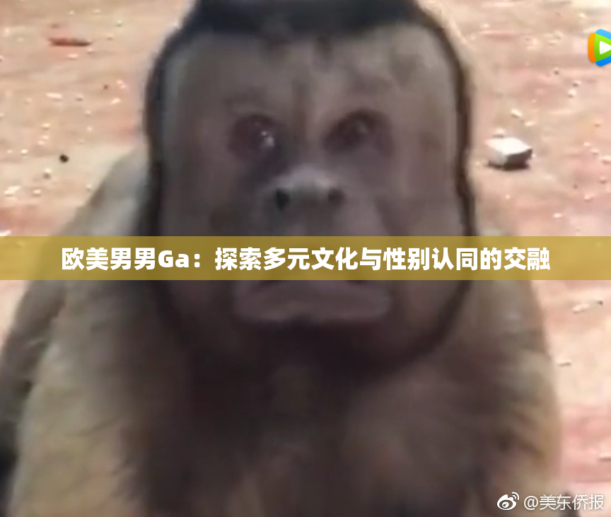 欧美男男Ga：探索多元文化与性别认同的交融