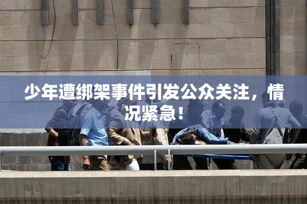 少年遭绑架事件引发公众关注，情况紧急！