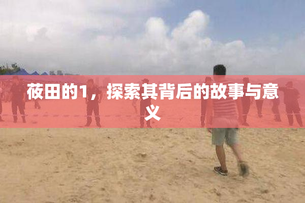 莜田的1，探索其背后的故事与意义