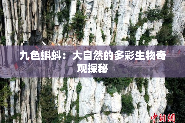 九色蝌蚪：大自然的多彩生物奇观探秘
