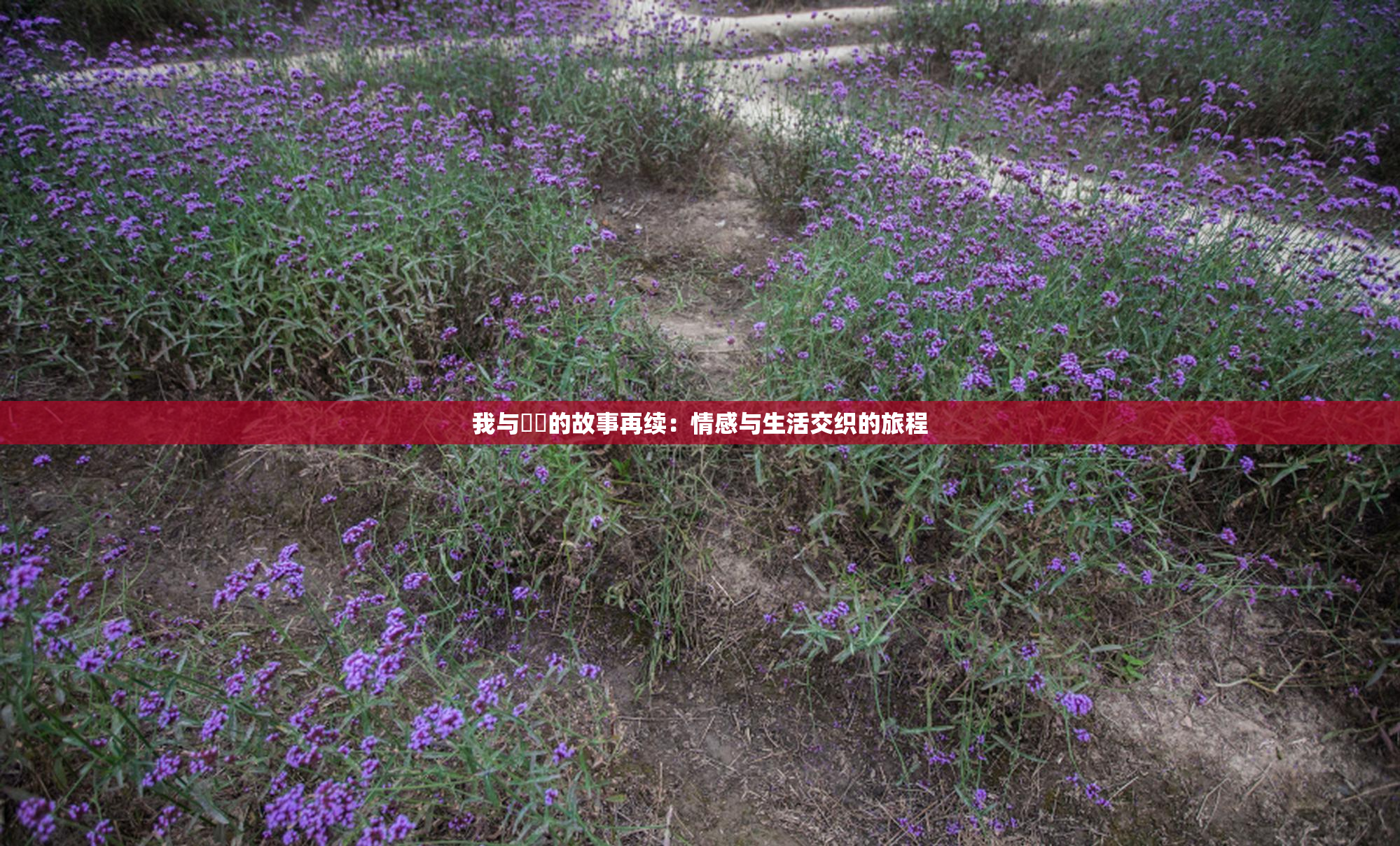 我与妺妺的故事再续：情感与生活交织的旅程