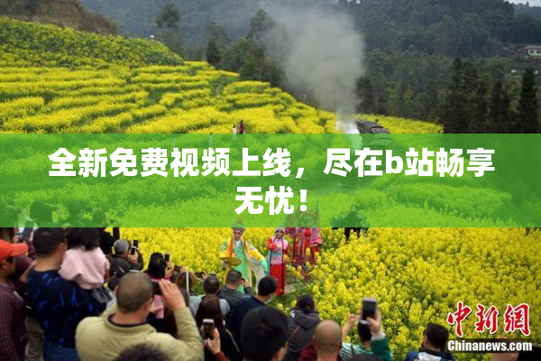 全新免费视频上线，尽在b站畅享无忧！