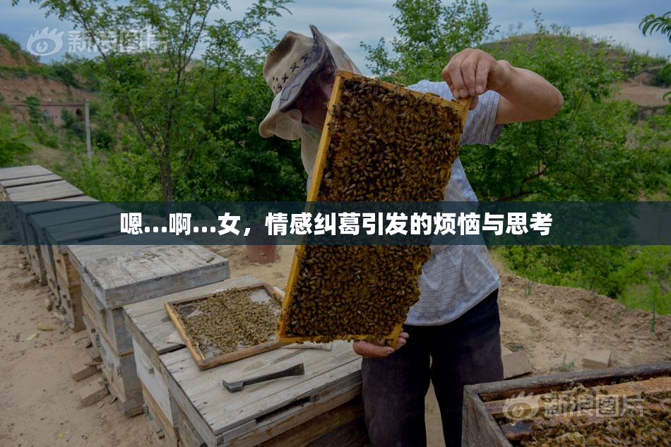 嗯…啊…女，情感纠葛引发的烦恼与思考