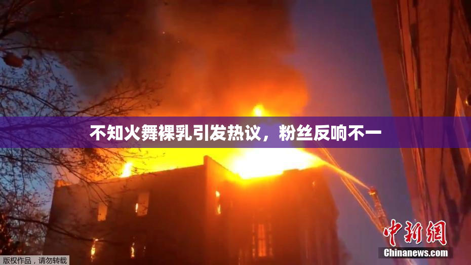 不知火舞裸乳引发热议，粉丝反响不一